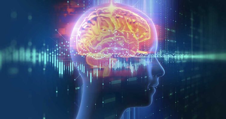 Contriving-Human-Brain-with-Artificial-Intelligence-via-Cognition