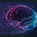 Like human brains, large language models reason about diverse data in a standard way