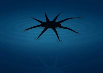 Engineers generate Soft Robots That Can Literally Walk on Water