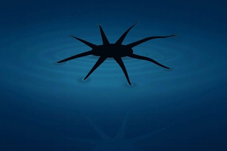 Engineers generate Soft Robots That Can Literally Walk on Water