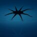 Engineers generate Soft Robots That Can Literally Walk on Water