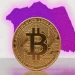 Bitcoin News: Zimbabwe Just Regulated Crypto, But Could a Bitcoin Treasury Save Its Economy?